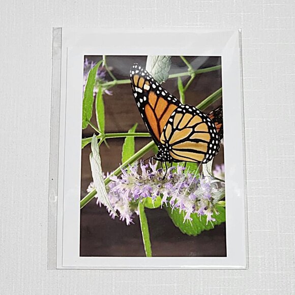 Butterfly blank photo greeting cards - Picture 2 of 8